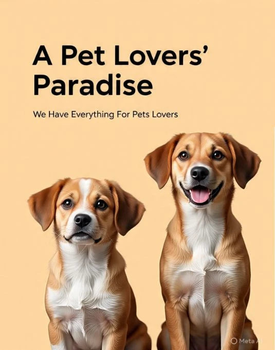 Pet Accessories & Toys